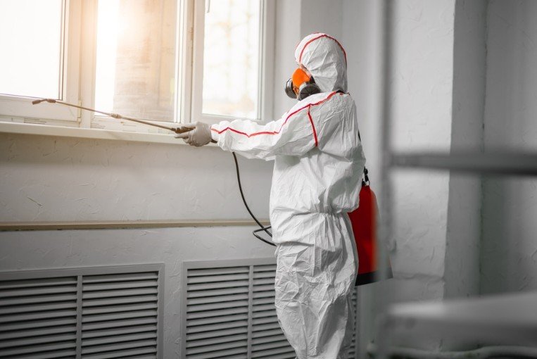 The Hidden Dangers of Mold