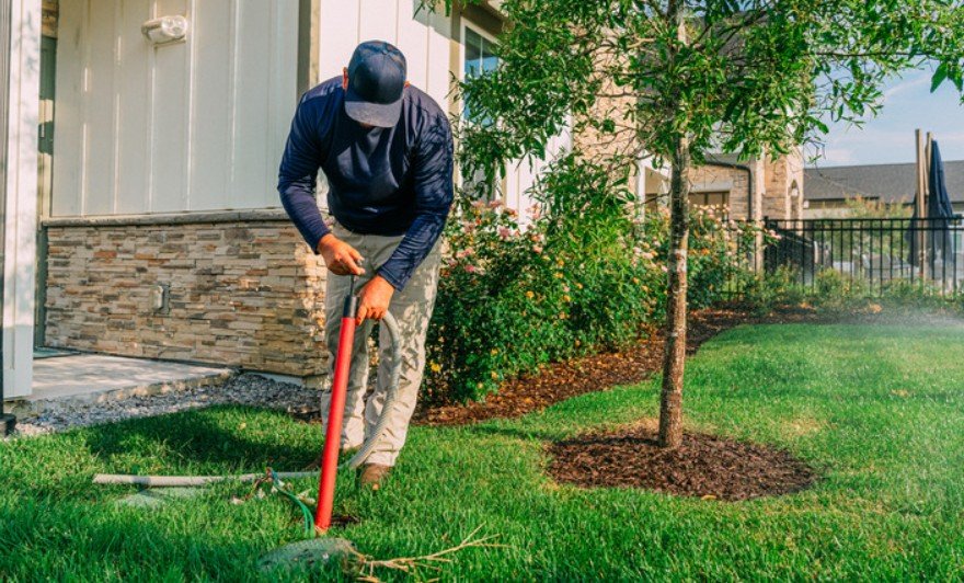 Transform Your Outdoor Space with Expert Lawn Care Service: The Ultimate Guide