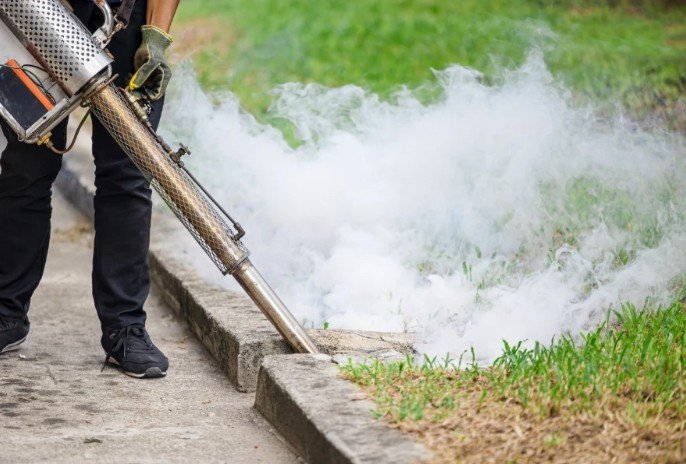 When Is the Best Time for Mosquito Fogging Services?